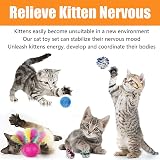 Speedy Panther 21Pcs Cat Toys Collapsible Tunnel Interactive Wand Ball Feather view 3
