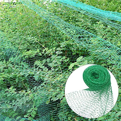 EFFT Life Green Anti Bird Protection Net Mesh, Bird Netting Garden Plant Netting Protect Protect Plants Fruit Trees Long Lasting Protection Against Birds