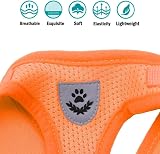 FEimaX Cat Dog Harness and Leash Set No Pull Reflective Mesh Vest view 6