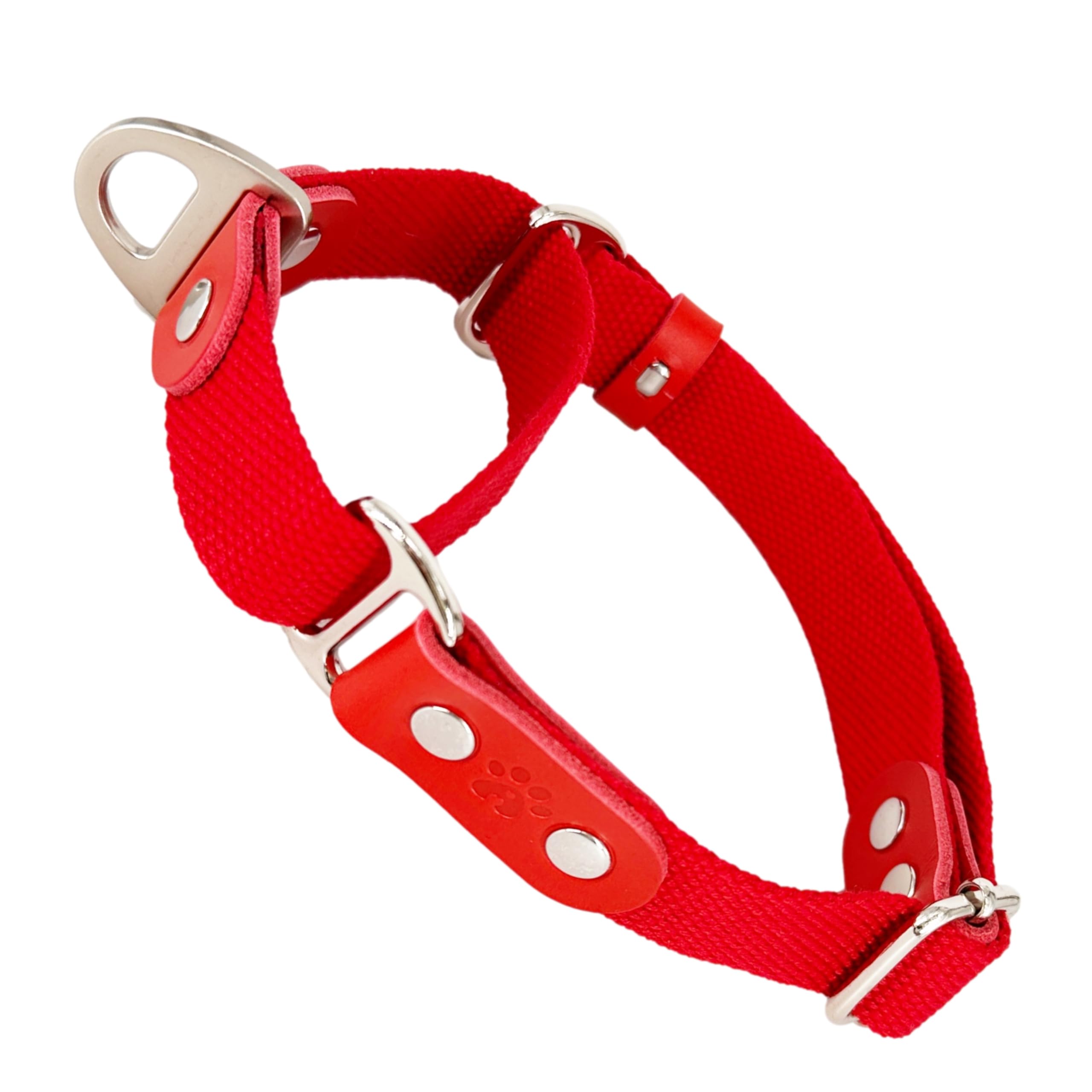 Martingale Dog Choke Collar, Antipull, Poly-Cotton and Leather. S. Red & Red