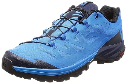 salomon outpath gtx shoes