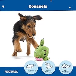 Barkbox 2 in 1 Interactive Plush Dog Toy - Rip and