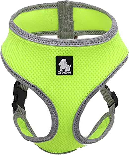 true love harness amazon