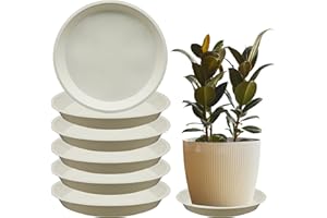 TNTIWQ 6 Pack 6 Inch Round Plant Saucers for Less 5 Inch Pot Indoors Outdoors Plant Trays for Pots Planter Saucer Plastic Plant Drip Tray Flower Planter Water Tray for Potted Plant(White, 6"(6pcs))