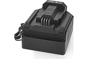 DMMNS Upgraded CH2100 56-Volt 4A Lithium-ion Charger Replacement for EGO 56V Battery Charger CH2100 CH3200 CH5500,Compatible 