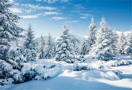 Aofoto Hiver Flocon De Neige Fond Snowy Scenic Photographie Fond Bonhomme De Neige Anniversaire Fete De