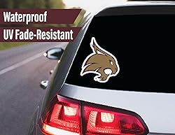 Texas State Stickers for Gift, Car, Water
