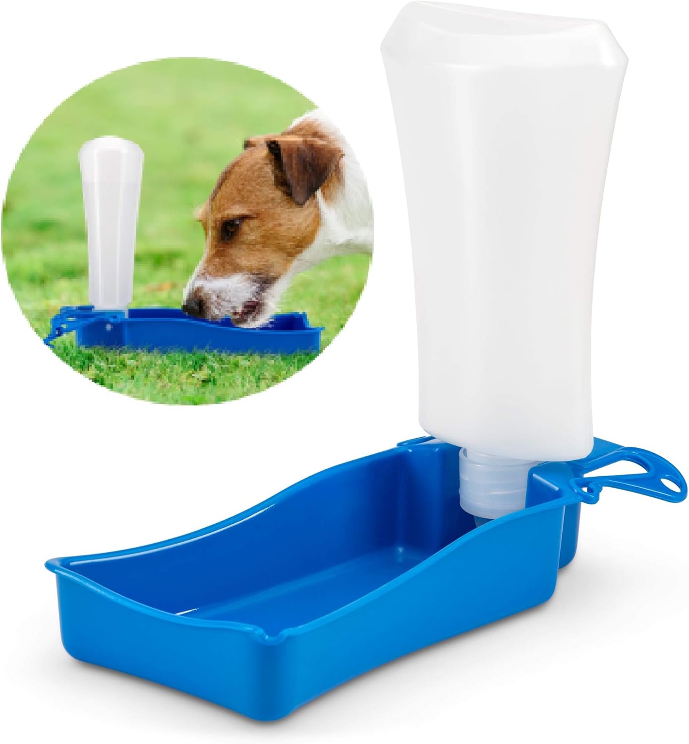 water walks for dogs near me