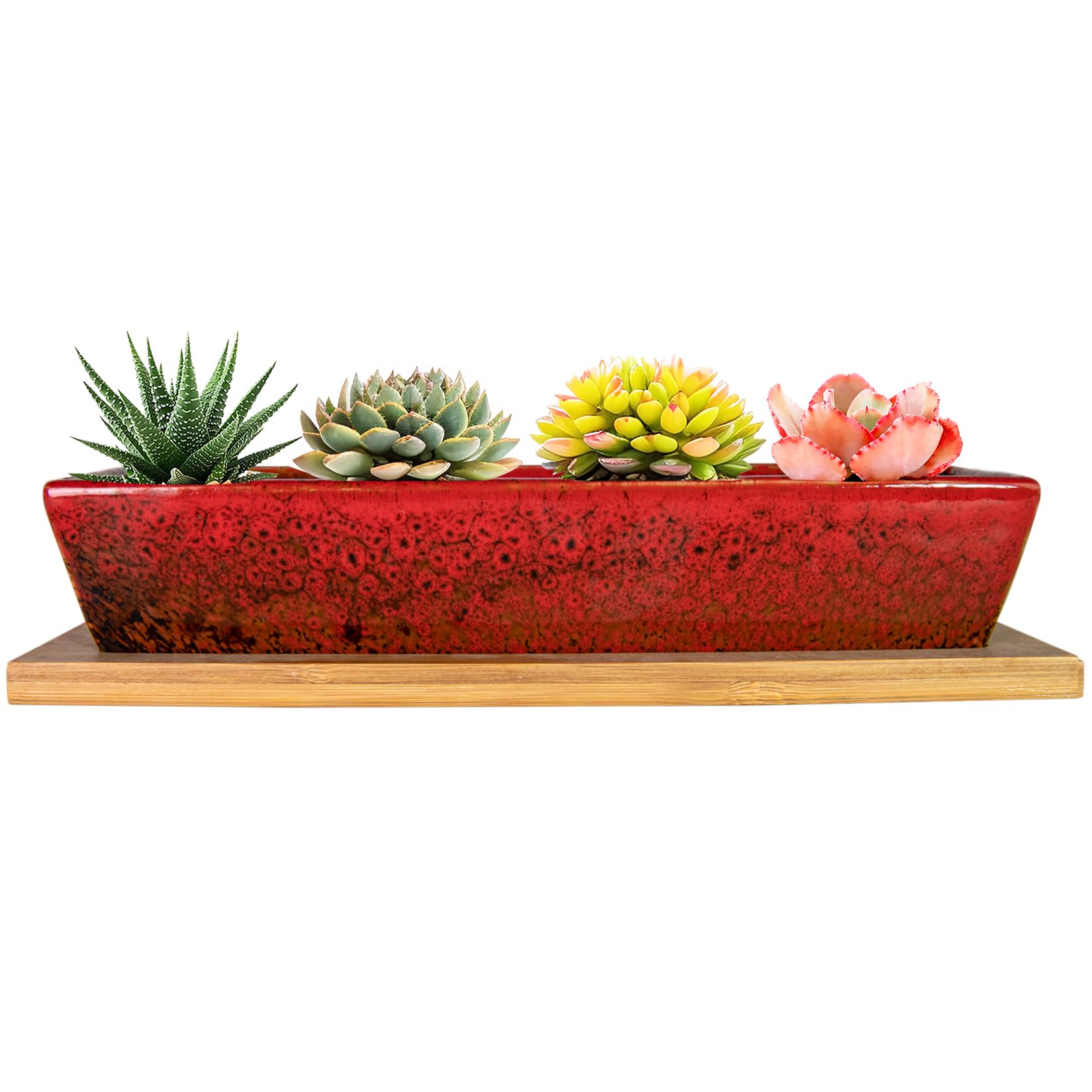 ARTKETTY Succulent Plant Pot - 25 CM Long Rectangle Planters with Drainage Tray, Large Ceramic Pot for Indoor Cactus Flower Plants, Shallow Window Box for Home Decor
