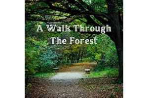 A Walk Through the Forest: A Beautiful Nature Picture Book for Seniors With Alzheimer’s or Dementia. This Makes a Wonderful Gift for an Elderly Parent or Grandparent. (Picture Books For Seniors)