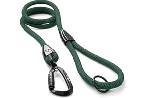 MADE TO ROAM Premium Explorer Leash - Climbing Rope Leash with Autolocking Aviation Aluminum Carabiner - Maine Marina, 6ft