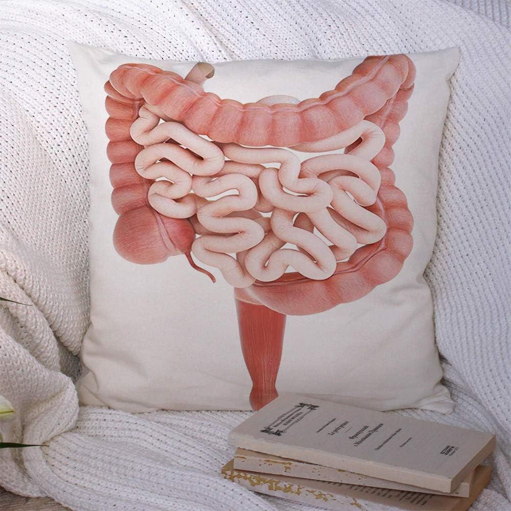 Throw Pillow Covers Polyester Medically Accurate 3D Biology