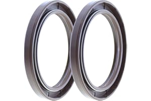 TERACHE Rotary Shaft TC Oil Seal 60x80x8 FPM Double Lip with Garter Spring [Set of 2]