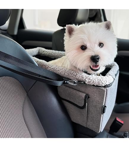 Dog Car Seats For Small Dogs Center Console Dog Car