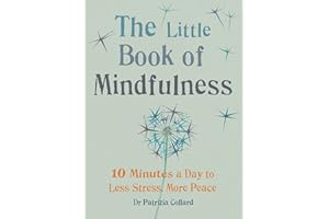 The Little Book of Mindfulness: 10 minutes a day to less stress, more peace (The Little Book Series)