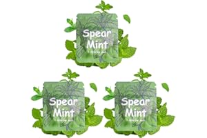 LAMKHOO 3 Pcs Spearmint Flavor Cores for Breathing Necklace to Quit Smoking and Vaping with Refillable Mint Pods Stop Smoking Aids Fidget Necklace for Anxiety Relief Smokeless Inhaler for Adults (Spear Mint×3)