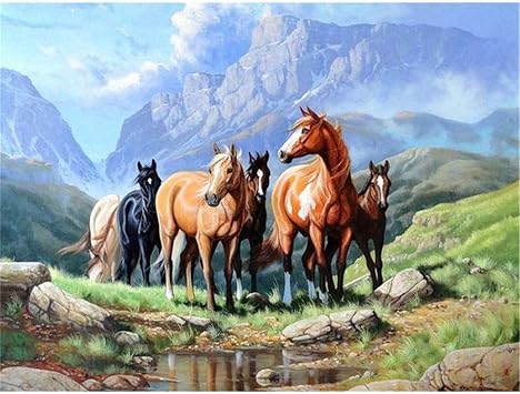 Amazon.com: DIY 5D Diamond Painting Kits, Cross Stitch Rhinestones