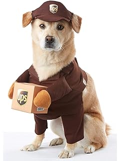 beanie baby dog costume