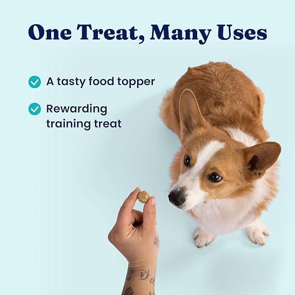 SOLID GOLD FREEZE DRIED DOG FOOD – W/REAL BEEF, PUMPKIN & SUPERFOODS – FREEZE DRIED RAW DOG FOOD TOPPERS FOR PICKY EATERS TO SERVE AS A NUTRIENT-DENSE MEAL TOPPER OR HIGH PROTEIN TREATS – 1.5OZ
