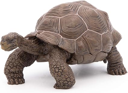 tortoise figure