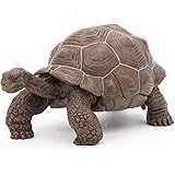schleich tortoise