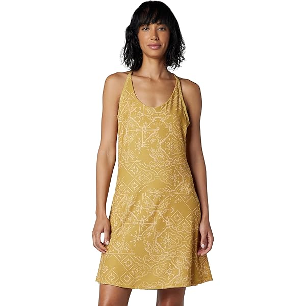 prAna Women's Cantine Dress, Birch Linea, X-Small at Amazon Women's  Clothing store