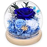 FIACO Preserved Rose Birthday Gift for Women Forever Fresh Flowers for Prime Delivery Gift for Mom Grandma Wife Valentines Mothers Day Christmas Anniversary Eternal Roses in Glass Dome