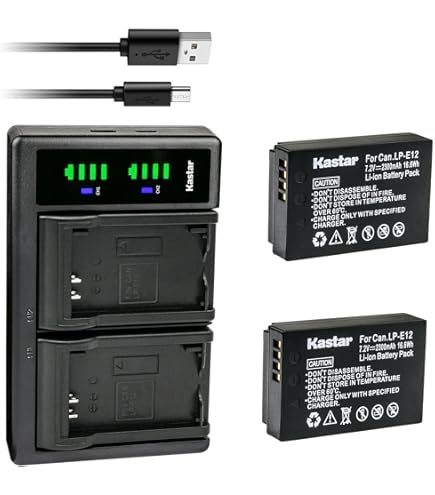 Amazon.com : Battery Pack for Canon PowerShot SX70 HS, SX70HS and