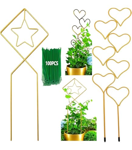多肉 Steal Heart Amazon.com : XMRSOY 2 Pack 34Inch Garden Trellis for