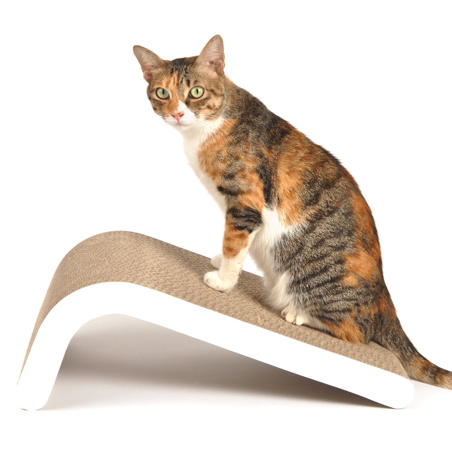 4CLAWS BASICS Cat Scratcher Incline Scratching Pad (White) Amazon.co