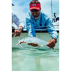 Berkley Gulp! Shrimp, 3in, 3" (6 Count) , Root Beer