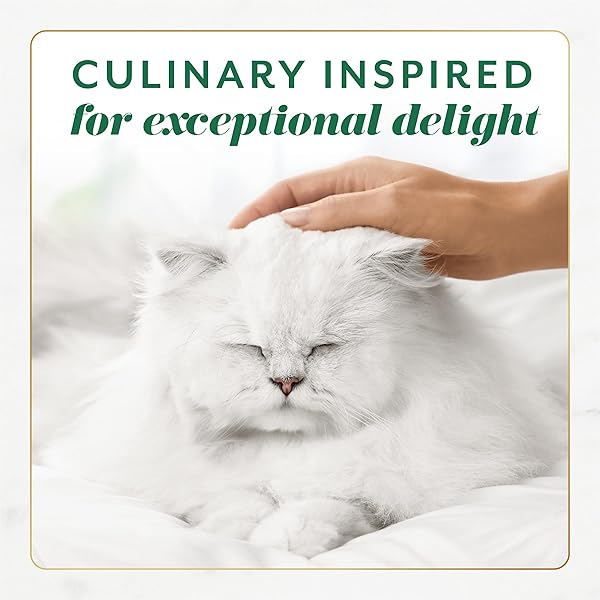 FANCY FEAST GEMS PATE CAT FOOD MOUSSE WITH CHICKEN AND A HALO OF SAVORY GRAVY CAT FOOD – (PACK OF 8) 4 OZ. BOXES