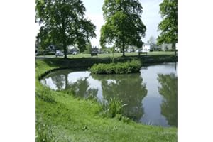Pond Ambience Sounds
