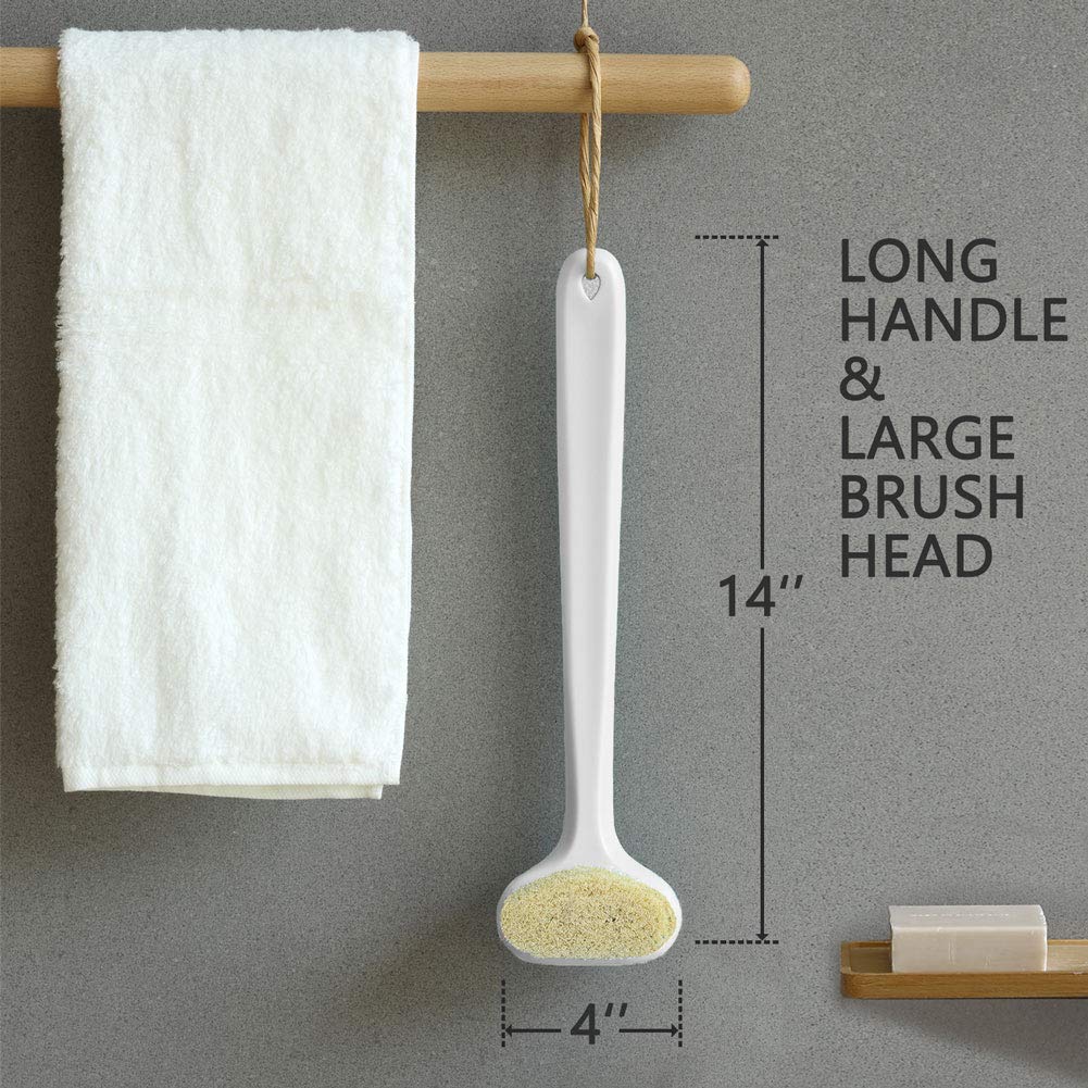 Bath Body Brush with Comfy Bristles Long Handle Gentle Exfoliation Improve Skin's Health and Beauty Wet or Dry Brushing Back Scrubber for Shower (White) : Beauty