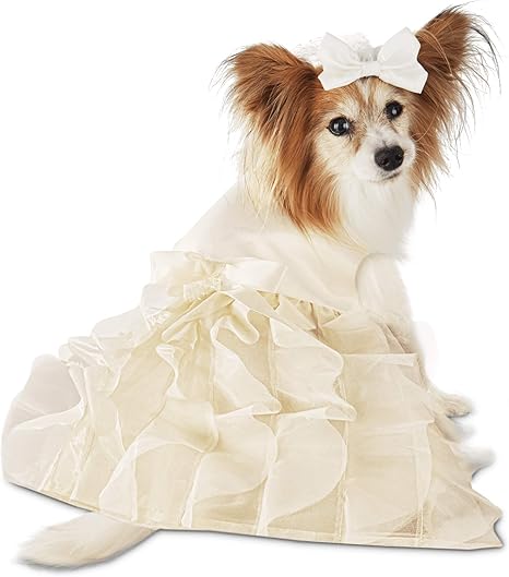 Dog wedding dress amazon Clearance