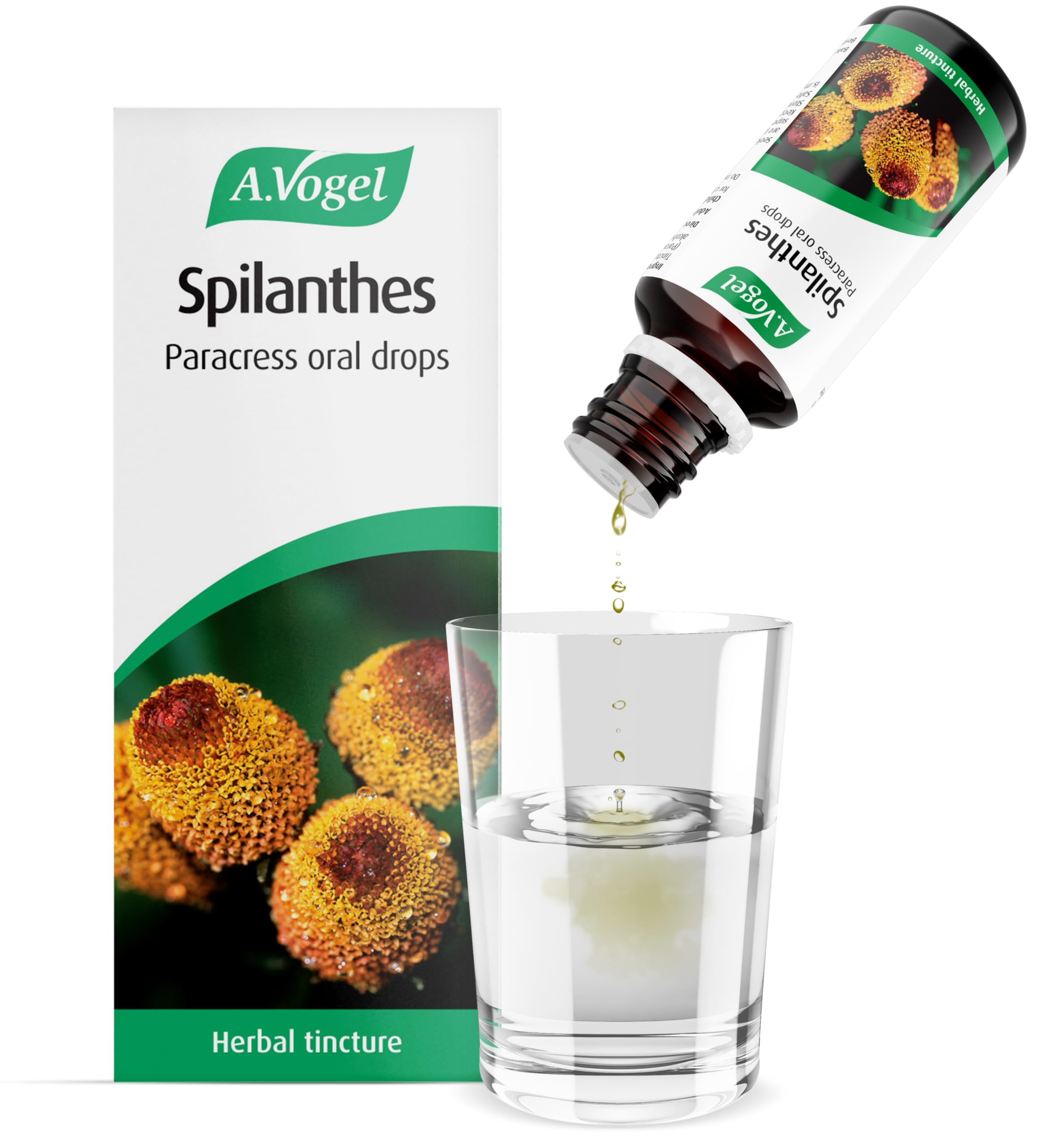 A.Vogel Spilanthes Paracress Drops | Extract of Organically Grown Spilanthes Oleracea | Suitable for Vegans | 50ml