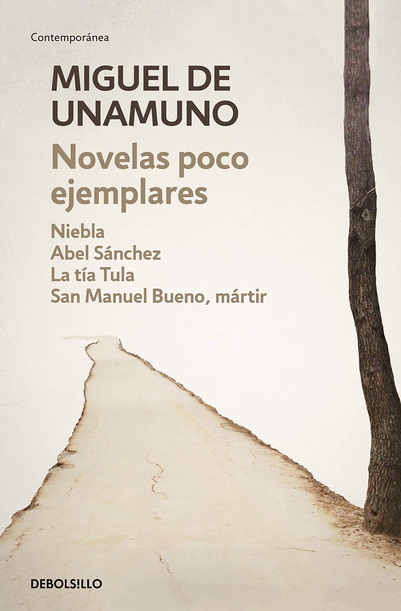 Novelas Poco Ejemplares Unamuno Miguel De 9788466346429 Amazon Com Books