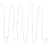 Everlasting Glow Micro LED Light String, 30 Warm White Light, Electric, Timer