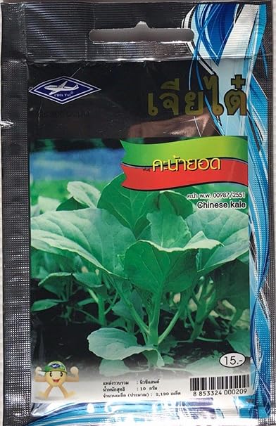 AGROBITS 10 G 2190 Semillas Plan de vegetales chinos Kale ...