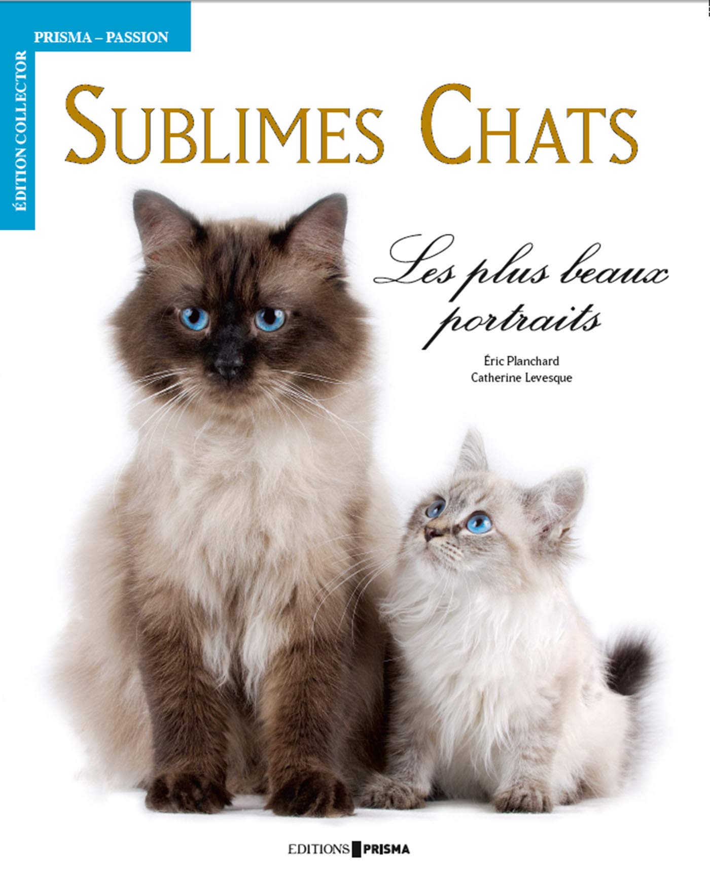 Sublimes Chats Les Plus Beaux Portraits Planchard Eric Levesque Catherine Amazon Com Books