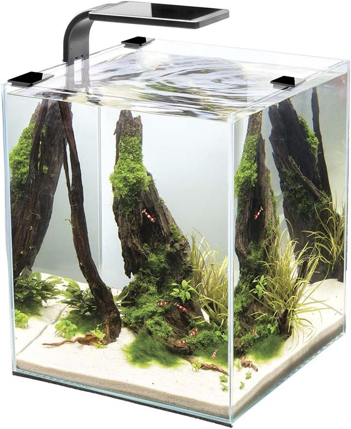 The 10 Best Fish Aquarium Building Kit