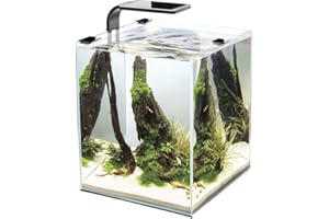 Cobalt Aquatics Microvue 20 Nano Aquarium Kit, Filter, LED Light (5.3 Gallon)