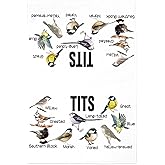 Aelciyue Gifts for Bird Lovers - Valentines Mothers Birthday Christmas Housewarming Funny Bird Watching Gifts for Titsbirds Lovers Tits Birds Watcher Gift Metal Tin Signs Wall Art Decor 8x12 Inch