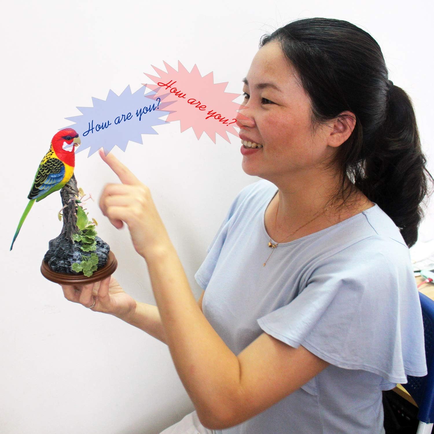 pets at home bird toys