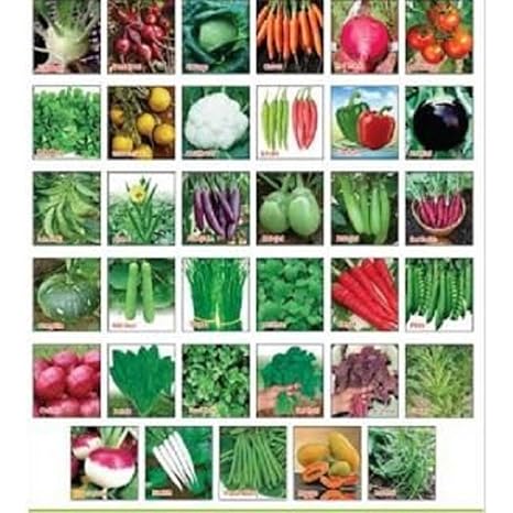 Sapretailer Combo (Pack Of 30) Vegetable Seeds For Terrace And Kitchen Gardening