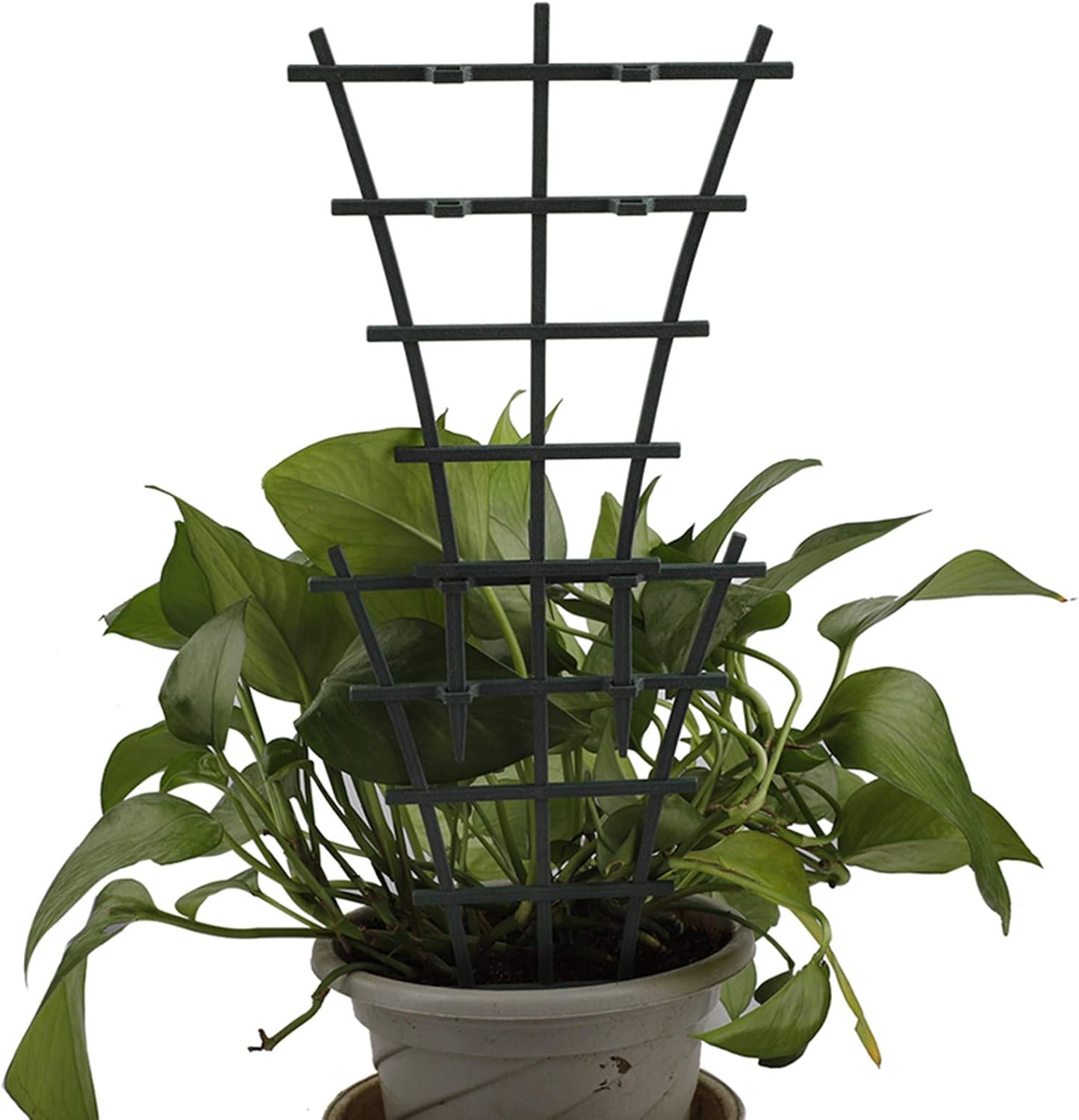 FGASAD Garden Trellises,Mini Plant Pot Support Frame Pergola Plastic Climbing Rattan Frame Cages Netting (Dark Green-2Pcs)
