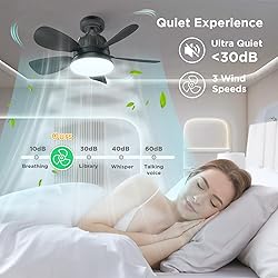 OSTIVE Socket Fan Light with Remote: 18'' Small