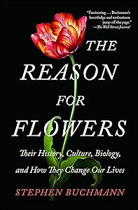 kindle best category lists