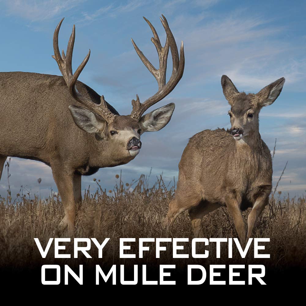 Nationwide Scent Buck Urine Deer Lure Whitetail Pheromones Attracts