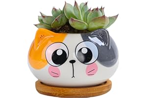 Cuteforyou Succulent Pots,Cute Animal Shaped Cartoon Ceramic Succulent Cactus Flower Planters with Bamboo Tray -Plant Not Included (Cat)